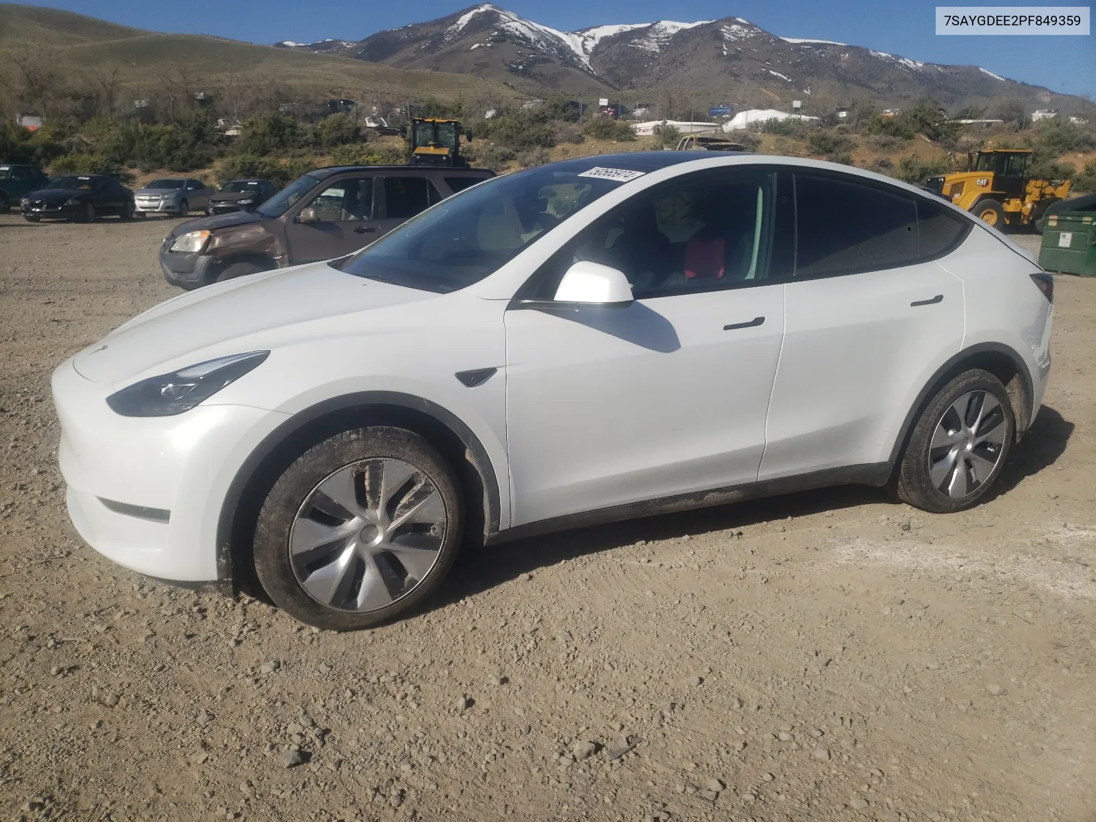 2023 Tesla Model Y VIN: 7SAYGDEE2PF849359 Lot: 50565974