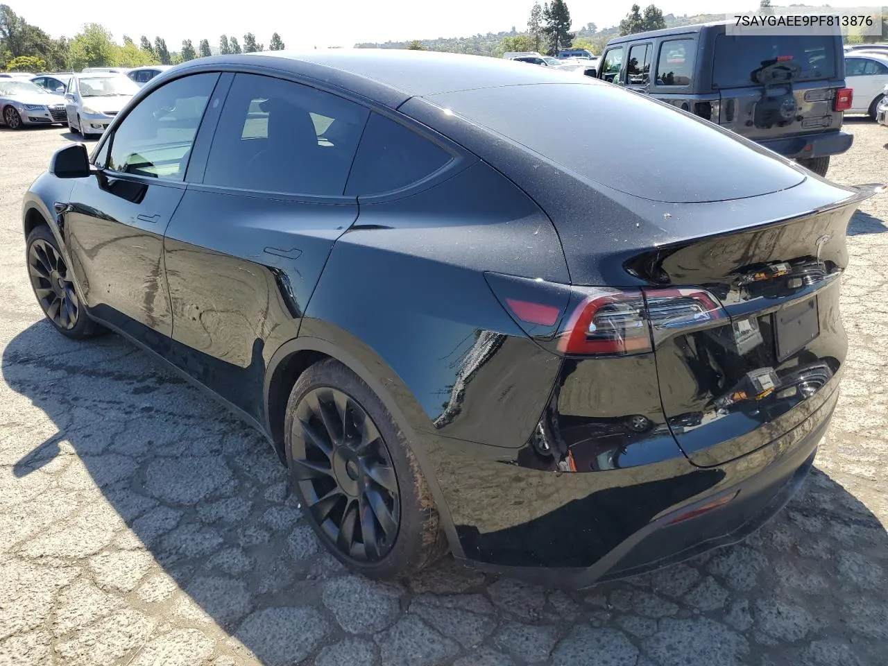 2023 Tesla Model Y VIN: 7SAYGAEE9PF813876 Lot: 51349954