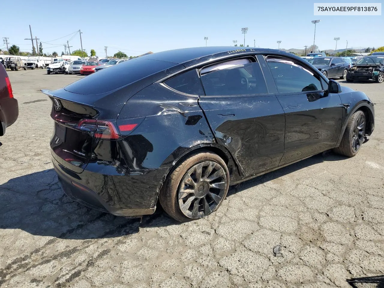 2023 Tesla Model Y VIN: 7SAYGAEE9PF813876 Lot: 51349954