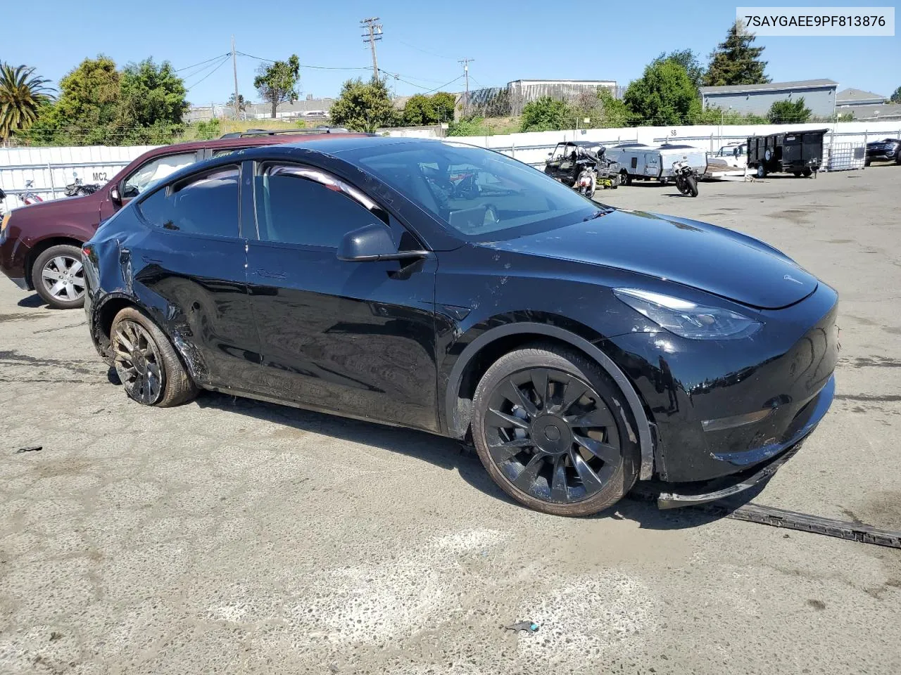 2023 Tesla Model Y VIN: 7SAYGAEE9PF813876 Lot: 51349954