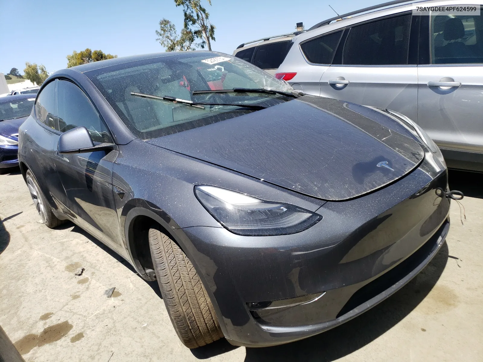 7SAYGDEE4PF624599 2023 Tesla Model Y