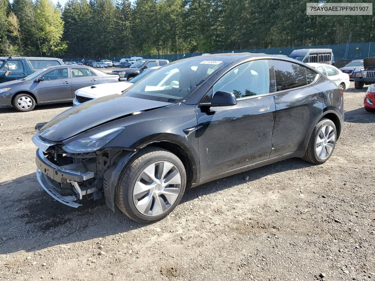 2023 Tesla Model Y VIN: 7SAYGAEE7PF901907 Lot: 52769854