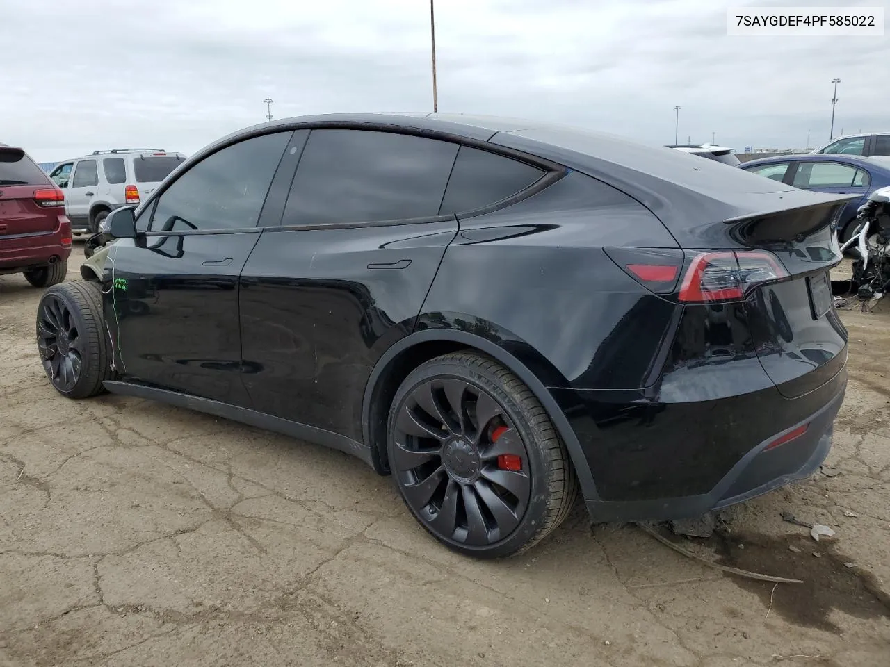 2023 Tesla Model Y VIN: 7SAYGDEF4PF585022 Lot: 53249474