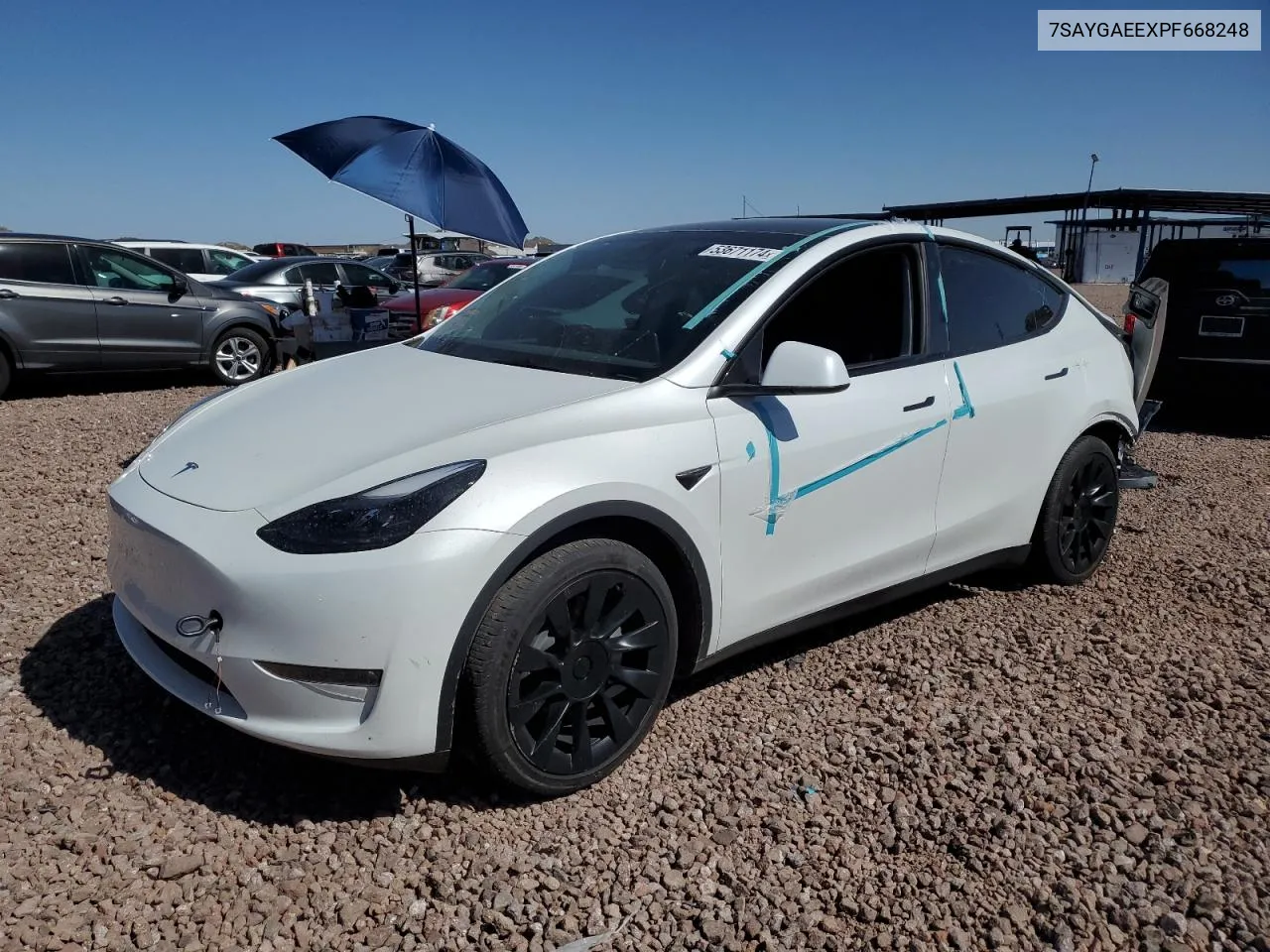 2023 Tesla Model Y VIN: 7SAYGAEEXPF668248 Lot: 53671174