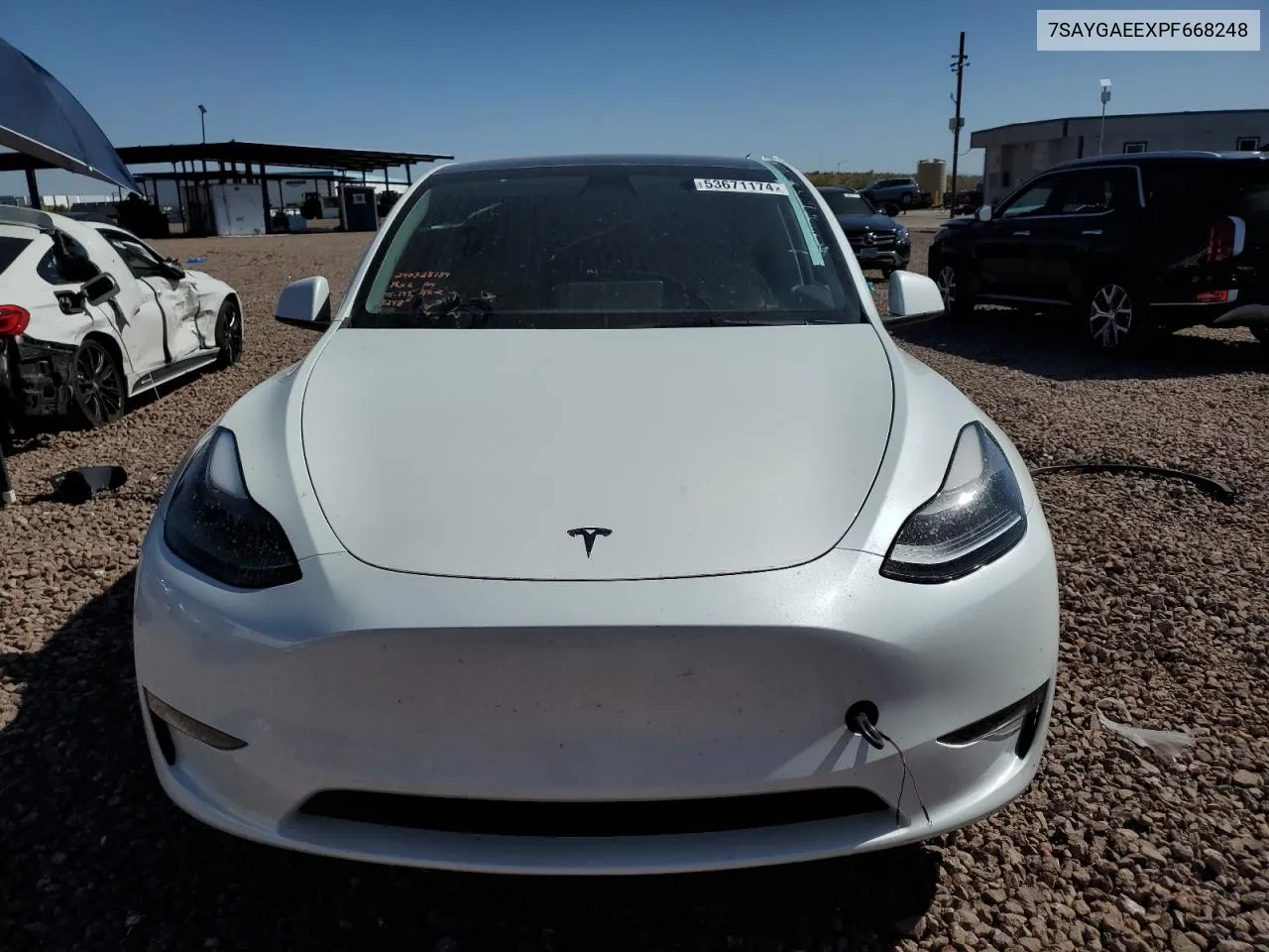 2023 Tesla Model Y VIN: 7SAYGAEEXPF668248 Lot: 53671174