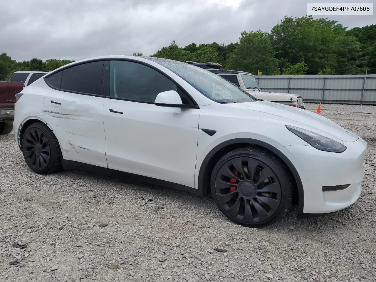 2023 Tesla Model Y VIN: 7SAYGDEF4PF707605 Lot: 54584854