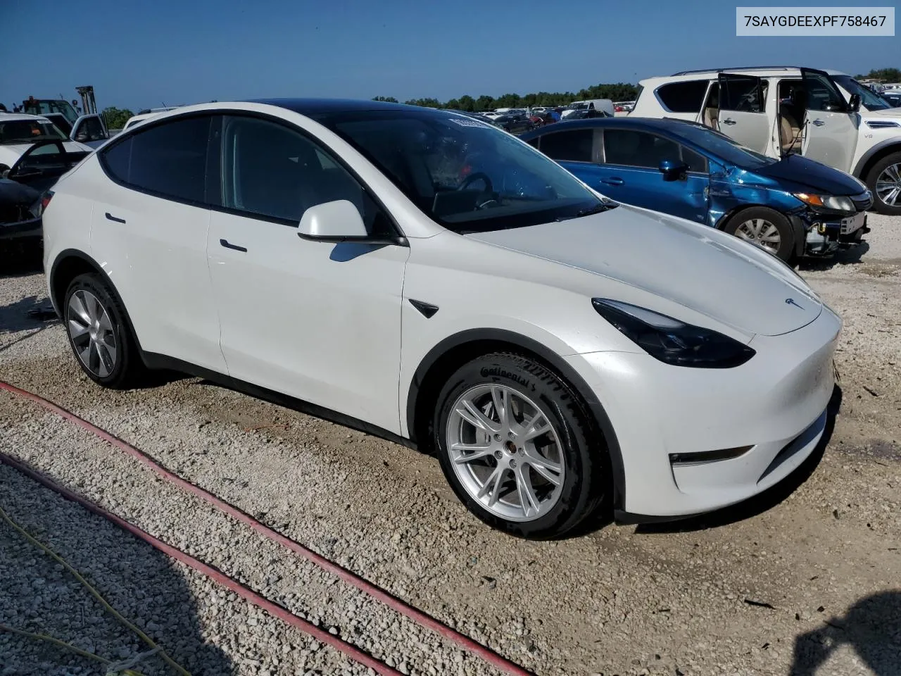 2023 Tesla Model Y VIN: 7SAYGDEEXPF758467 Lot: 56337924