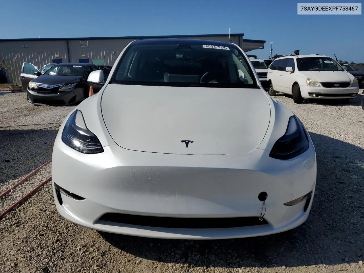 2023 Tesla Model Y VIN: 7SAYGDEEXPF758467 Lot: 56337924