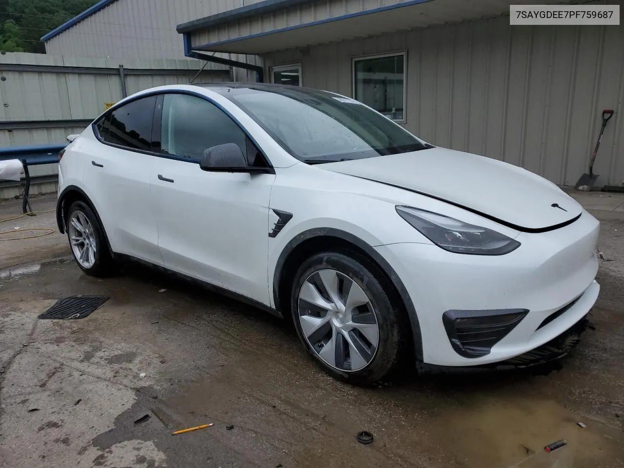 2023 Tesla Model Y VIN: 7SAYGDEE7PF759687 Lot: 56871164