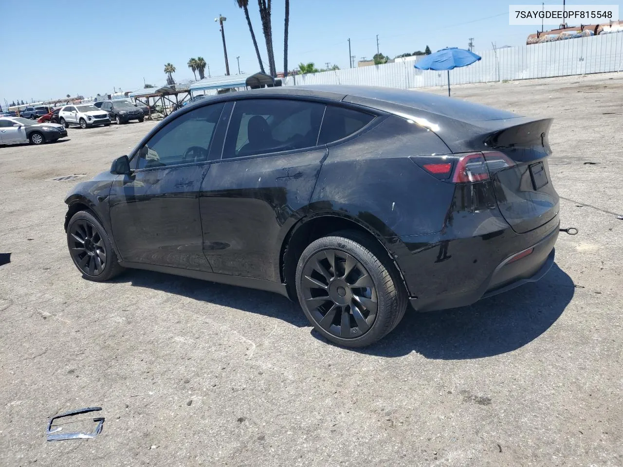 2023 Tesla Model Y VIN: 7SAYGDEE0PF815548 Lot: 58498574