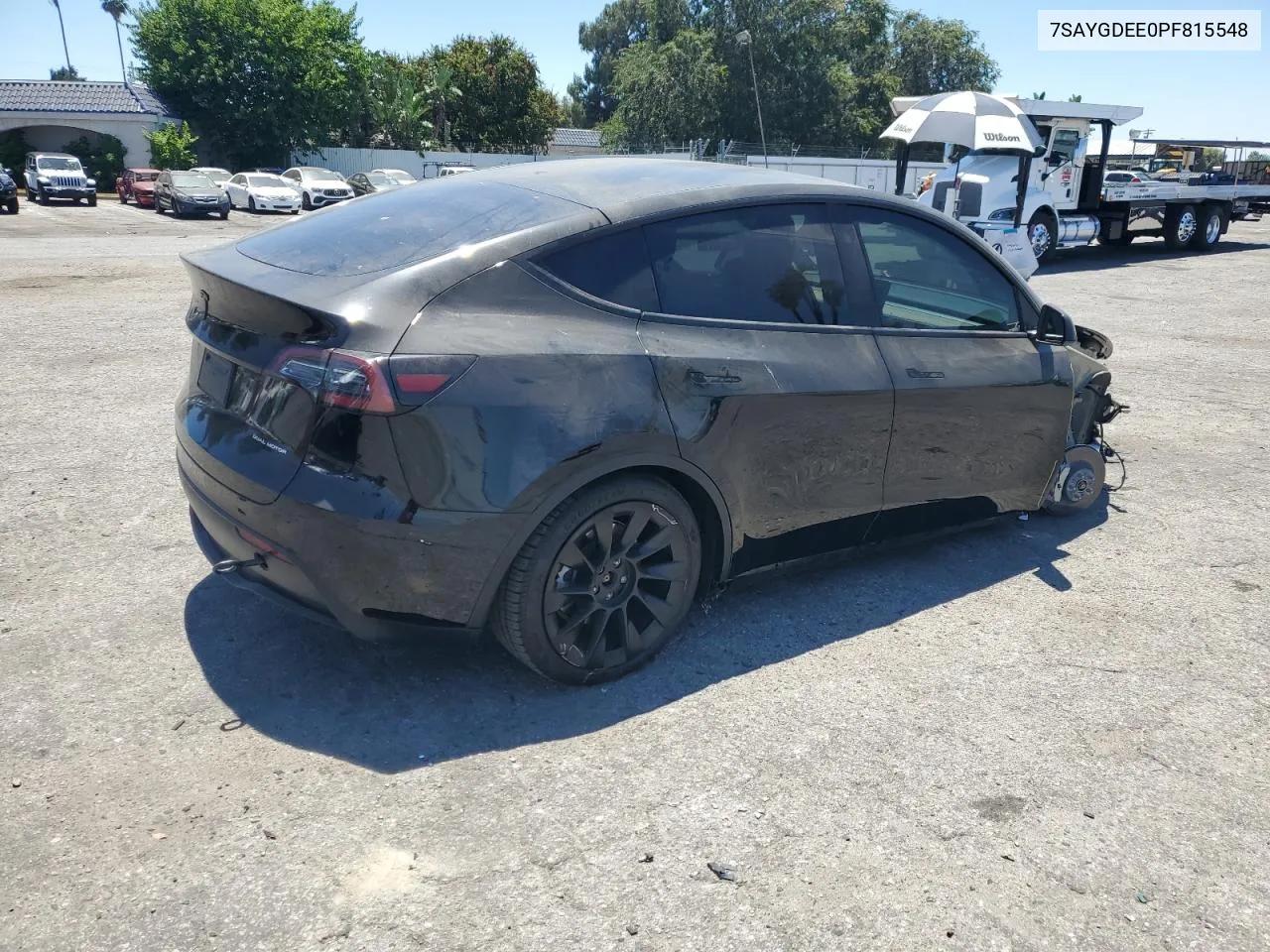 2023 Tesla Model Y VIN: 7SAYGDEE0PF815548 Lot: 58498574