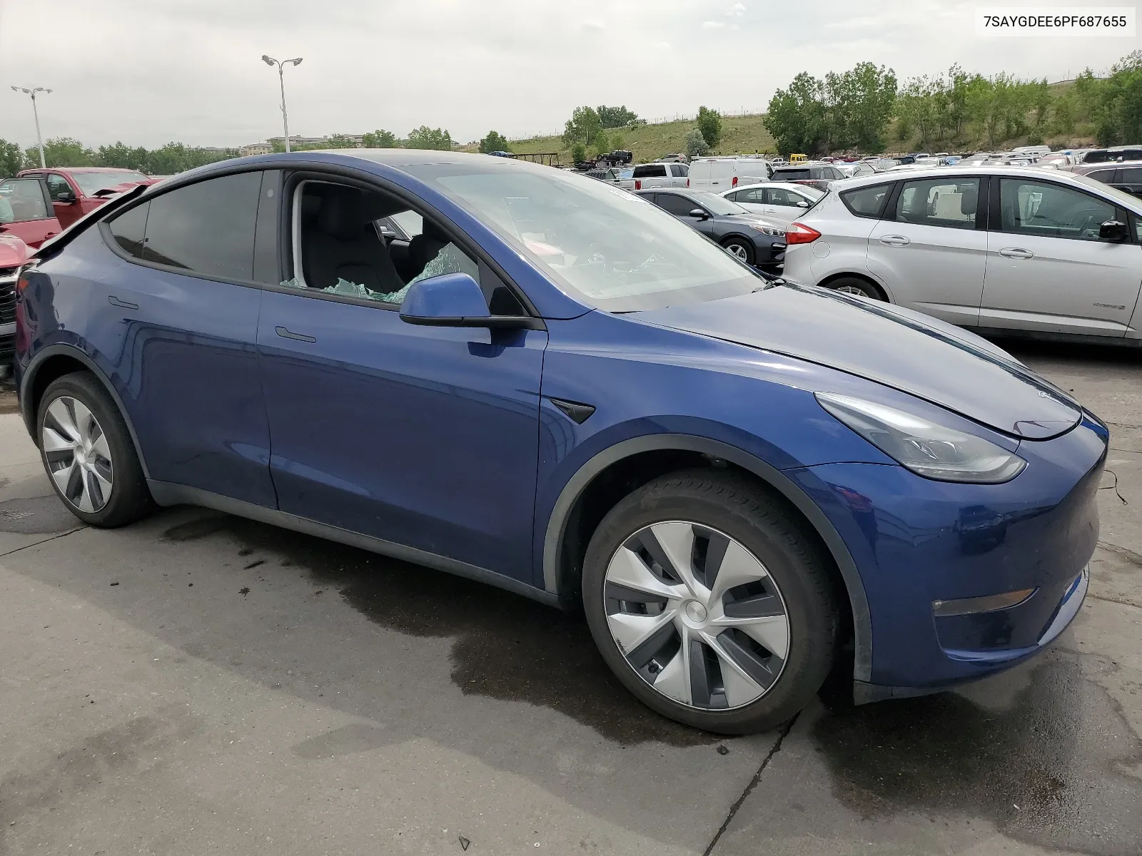 2023 Tesla Model Y VIN: 7SAYGDEE6PF687655 Lot: 58733514