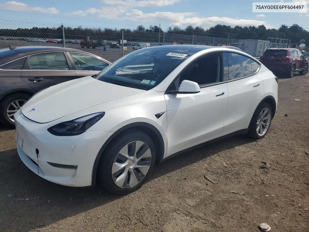 2023 Tesla Model Y VIN: 7SAYGDEE6PF604497 Lot: 59353264