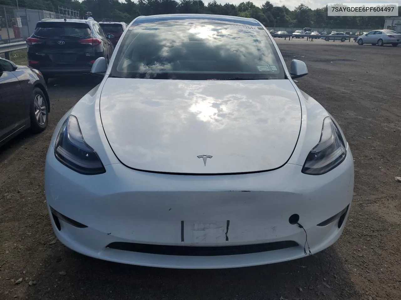 2023 Tesla Model Y VIN: 7SAYGDEE6PF604497 Lot: 59353264