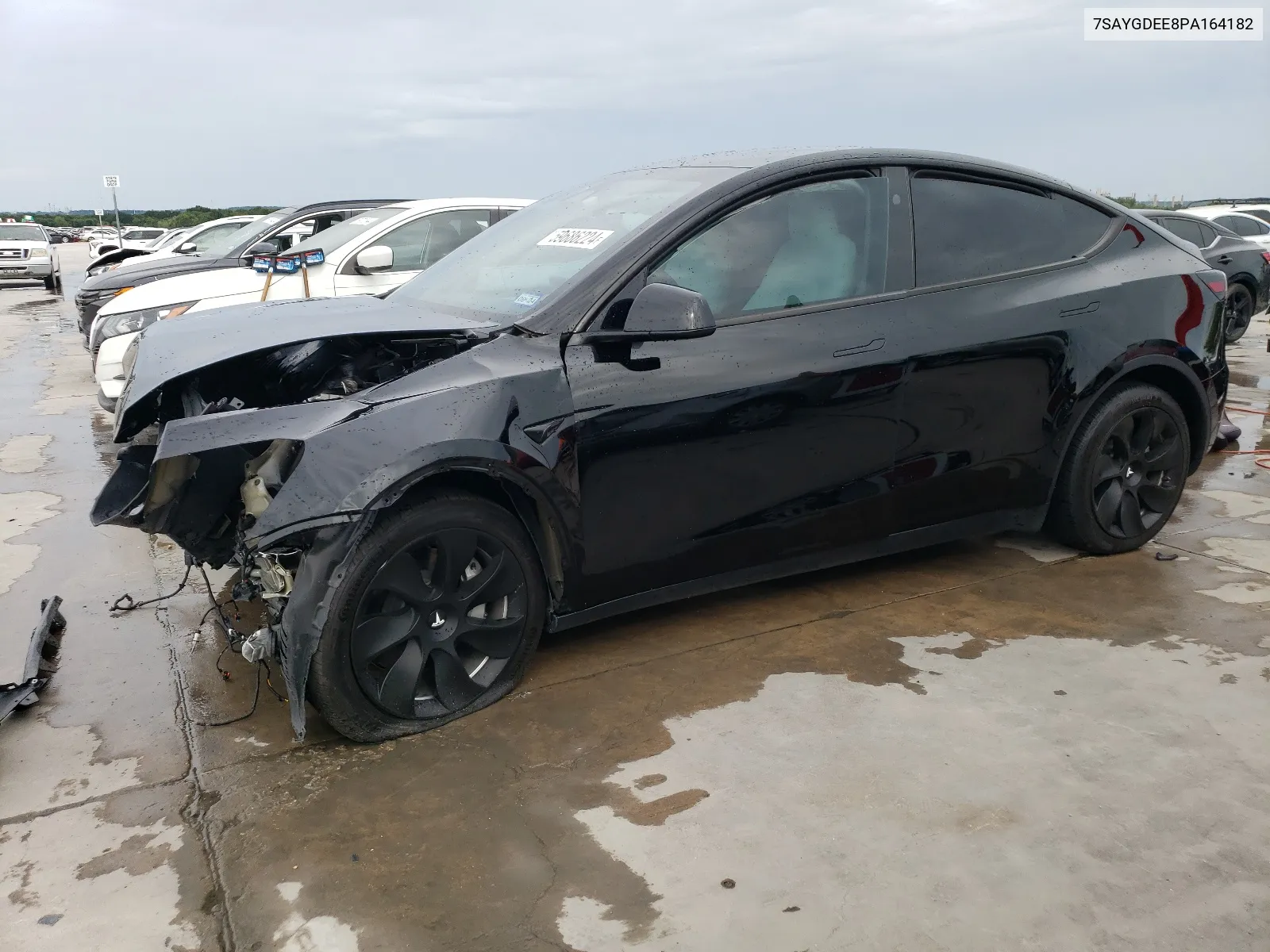 2023 Tesla Model Y VIN: 7SAYGDEE8PA164182 Lot: 59686224