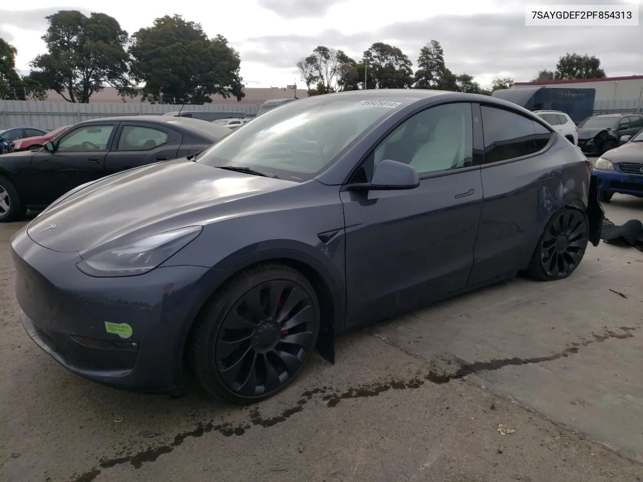 2023 Tesla Model Y VIN: 7SAYGDEF2PF854313 Lot: 59925914