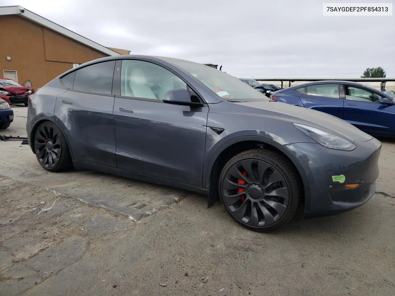 2023 Tesla Model Y VIN: 7SAYGDEF2PF854313 Lot: 59925914