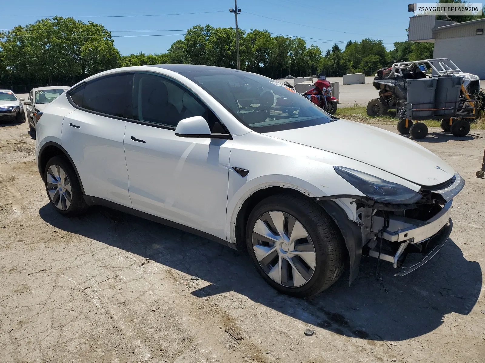 2023 Tesla Model Y VIN: 7SAYGDEE8PF669206 Lot: 61123714