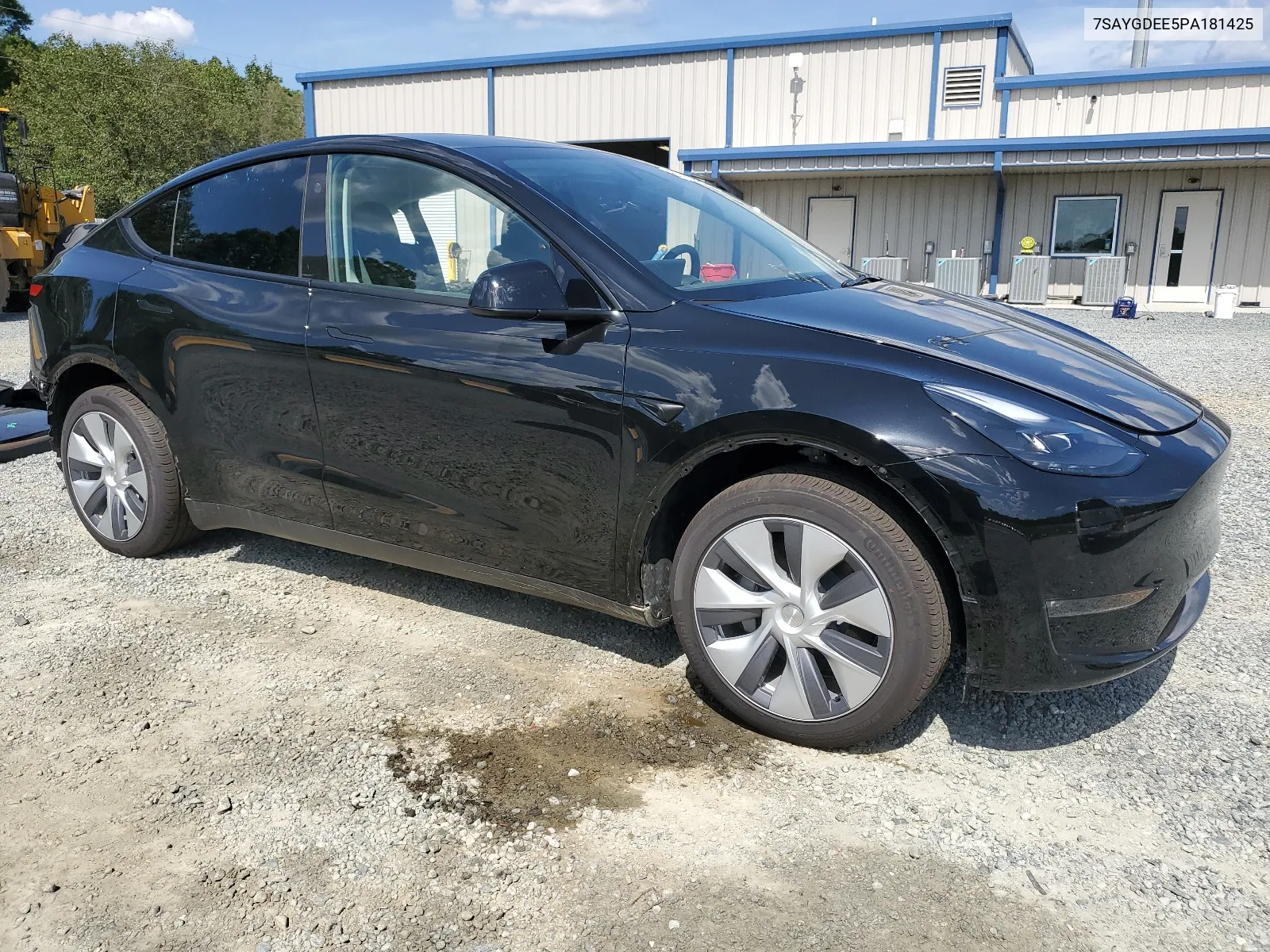 2023 Tesla Model Y VIN: 7SAYGDEE5PA181425 Lot: 61372054