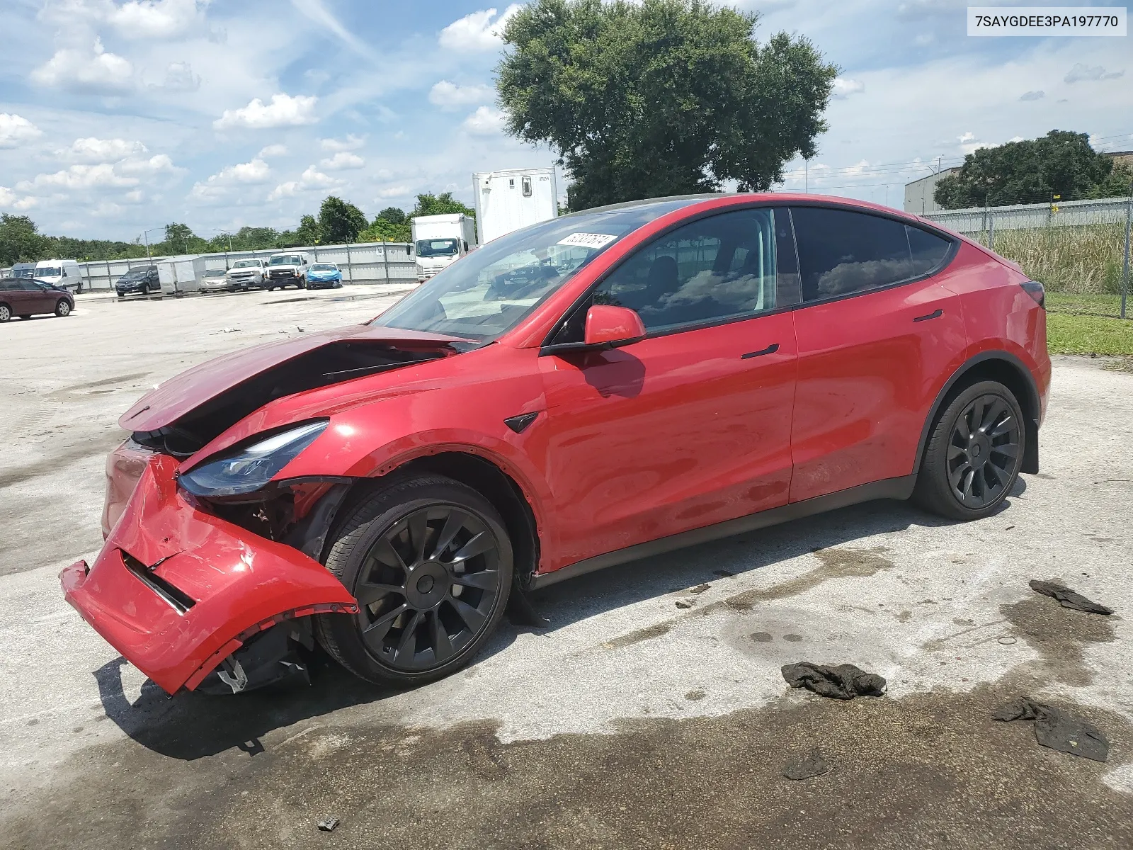 2023 Tesla Model Y VIN: 7SAYGDEE3PA197770 Lot: 62337674