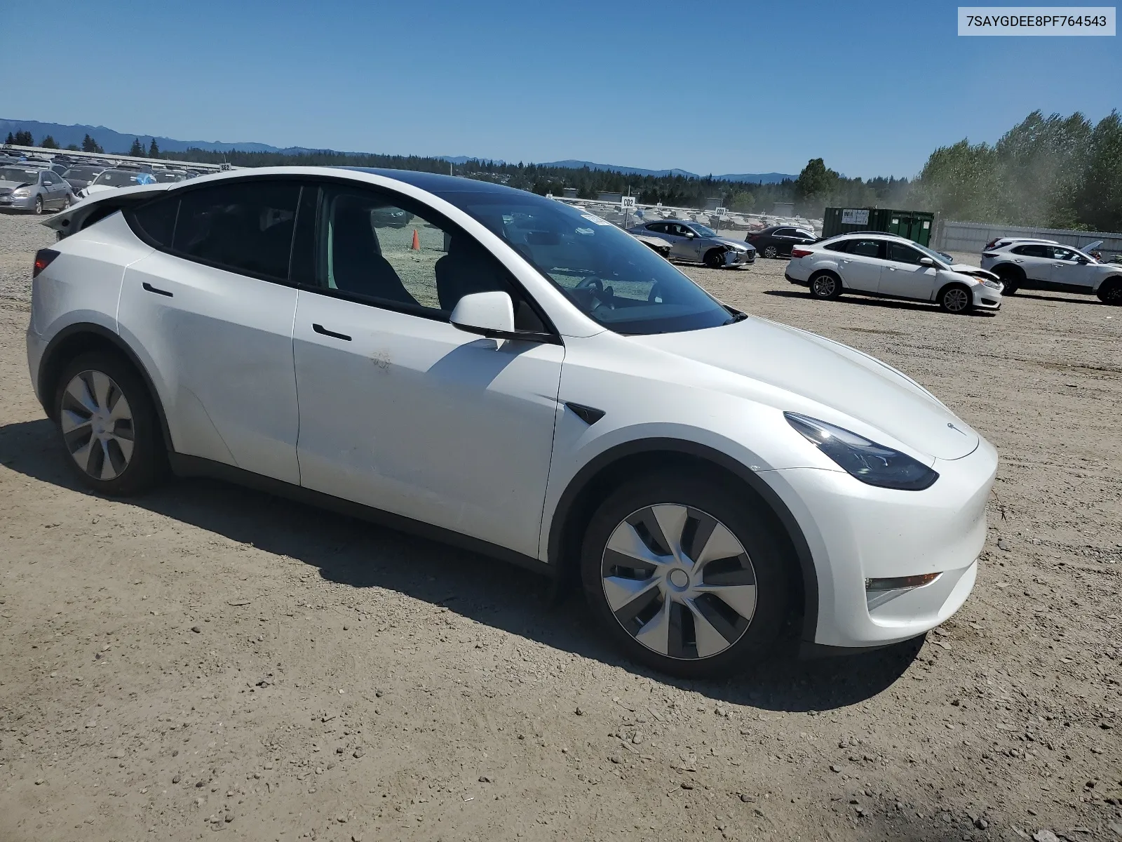 2023 Tesla Model Y VIN: 7SAYGDEE8PF764543 Lot: 62630834