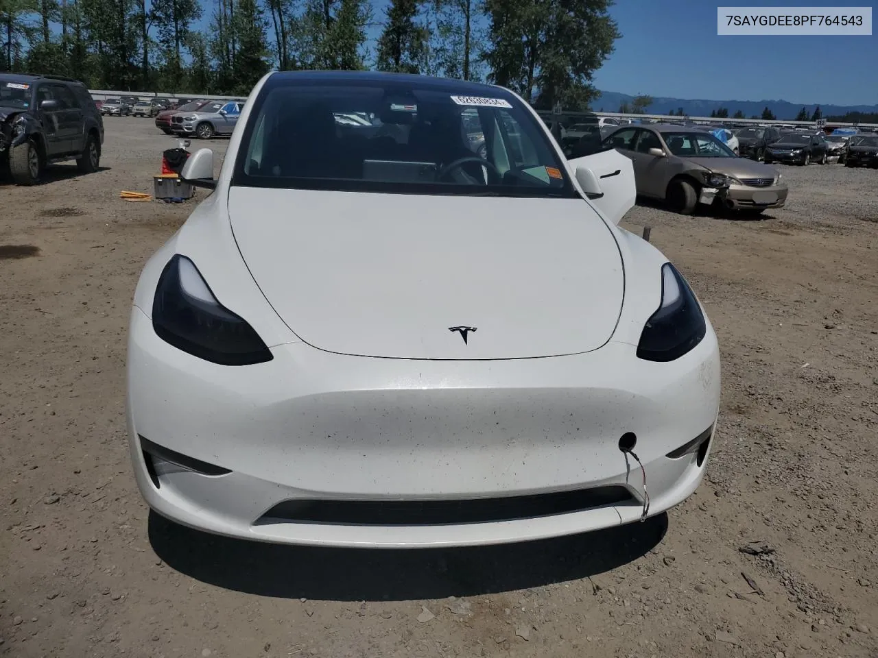 2023 Tesla Model Y VIN: 7SAYGDEE8PF764543 Lot: 62630834