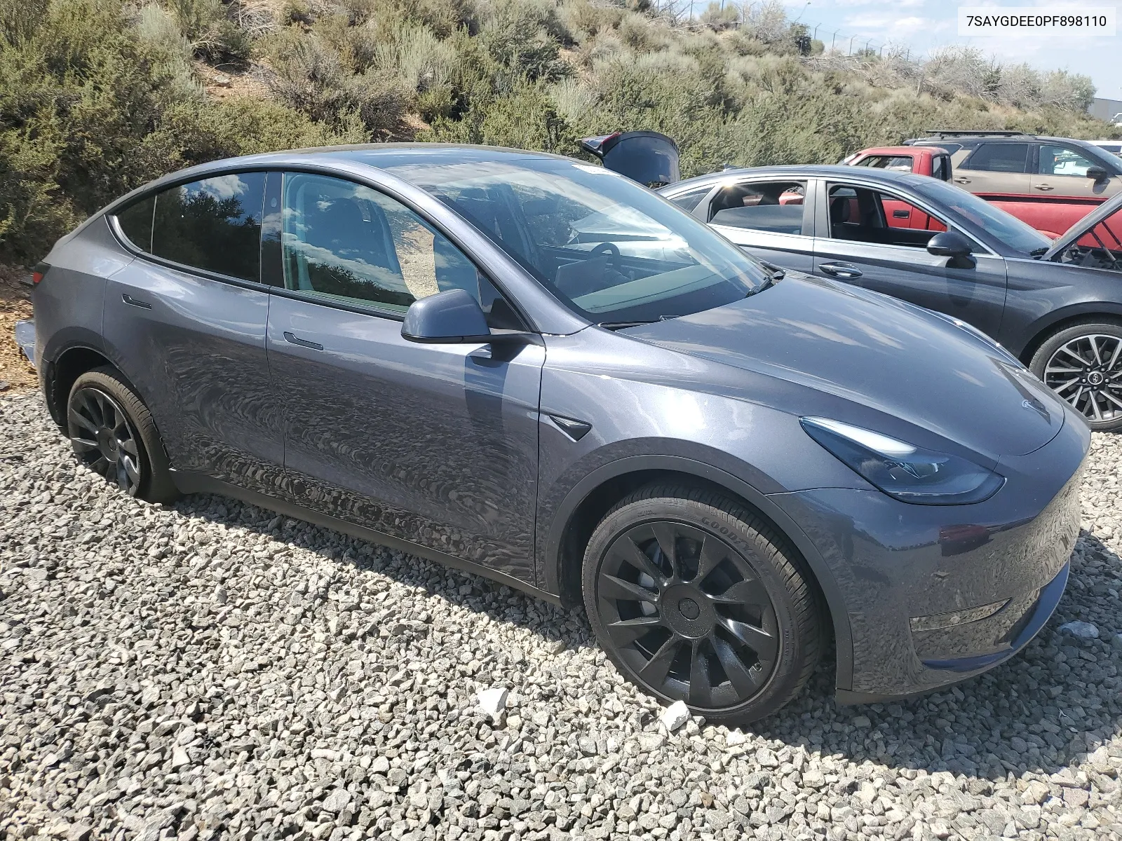 2023 Tesla Model Y VIN: 7SAYGDEE0PF898110 Lot: 62759444