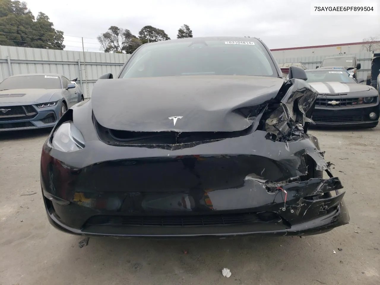 2023 Tesla Model Y VIN: 7SAYGAEE6PF899504 Lot: 63104814