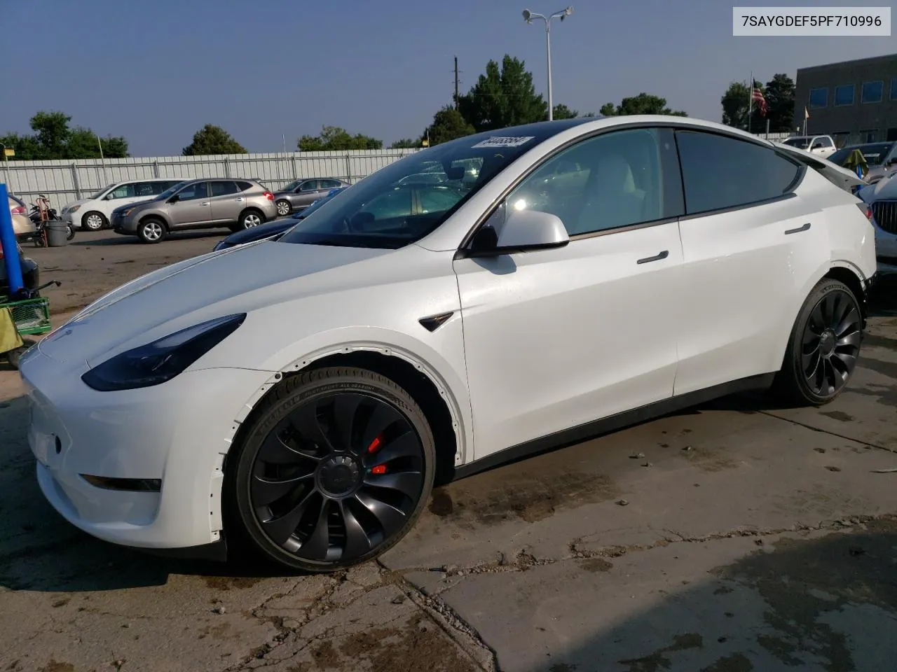 2023 Tesla Model Y VIN: 7SAYGDEF5PF710996 Lot: 64463564