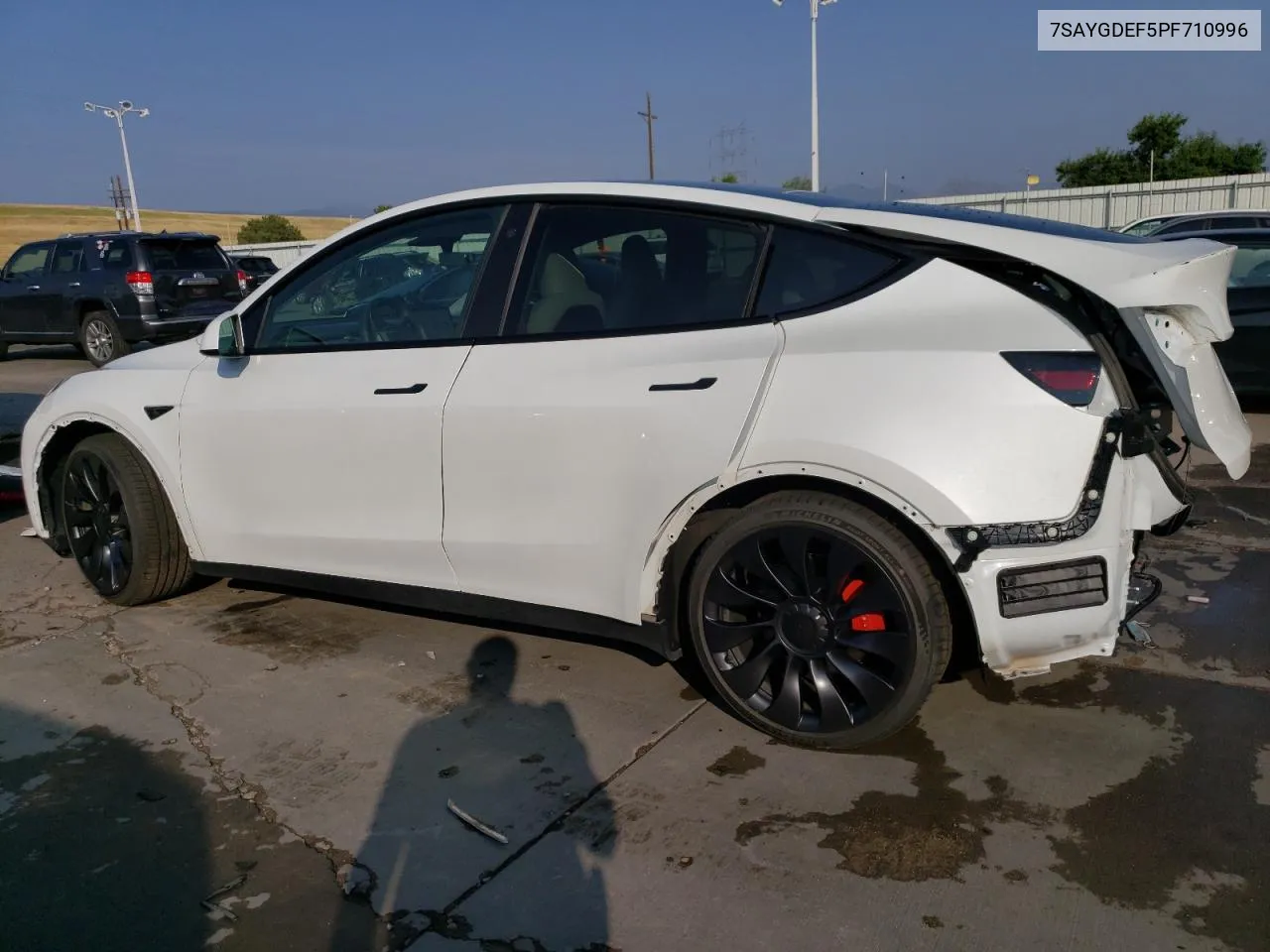 2023 Tesla Model Y VIN: 7SAYGDEF5PF710996 Lot: 64463564