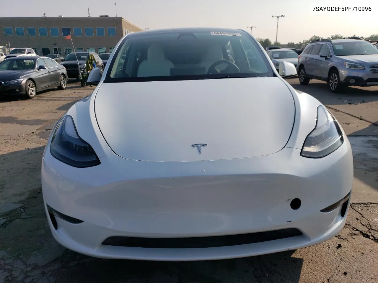 2023 Tesla Model Y VIN: 7SAYGDEF5PF710996 Lot: 64463564