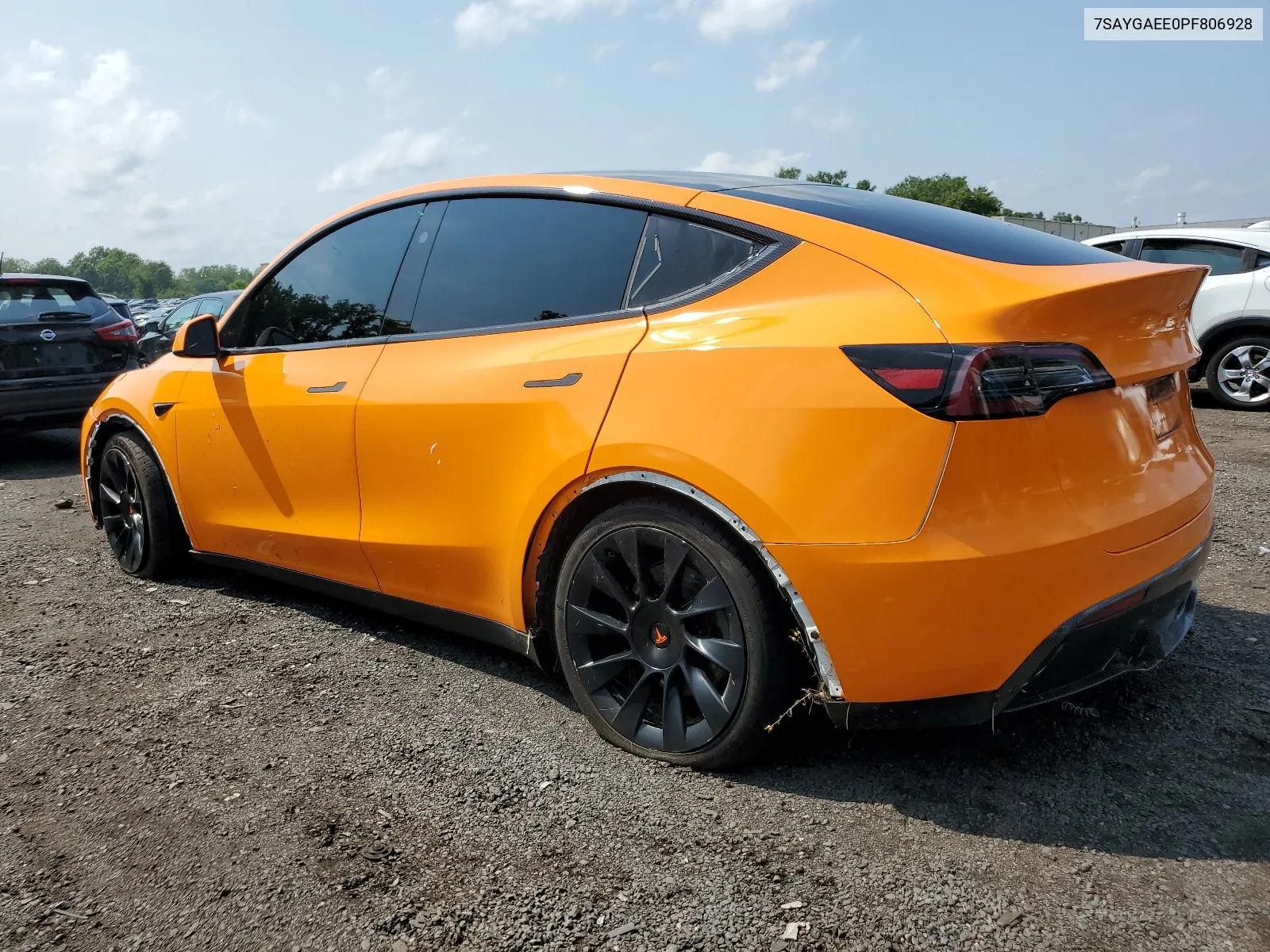 2023 Tesla Model Y VIN: 7SAYGAEE0PF806928 Lot: 64882664