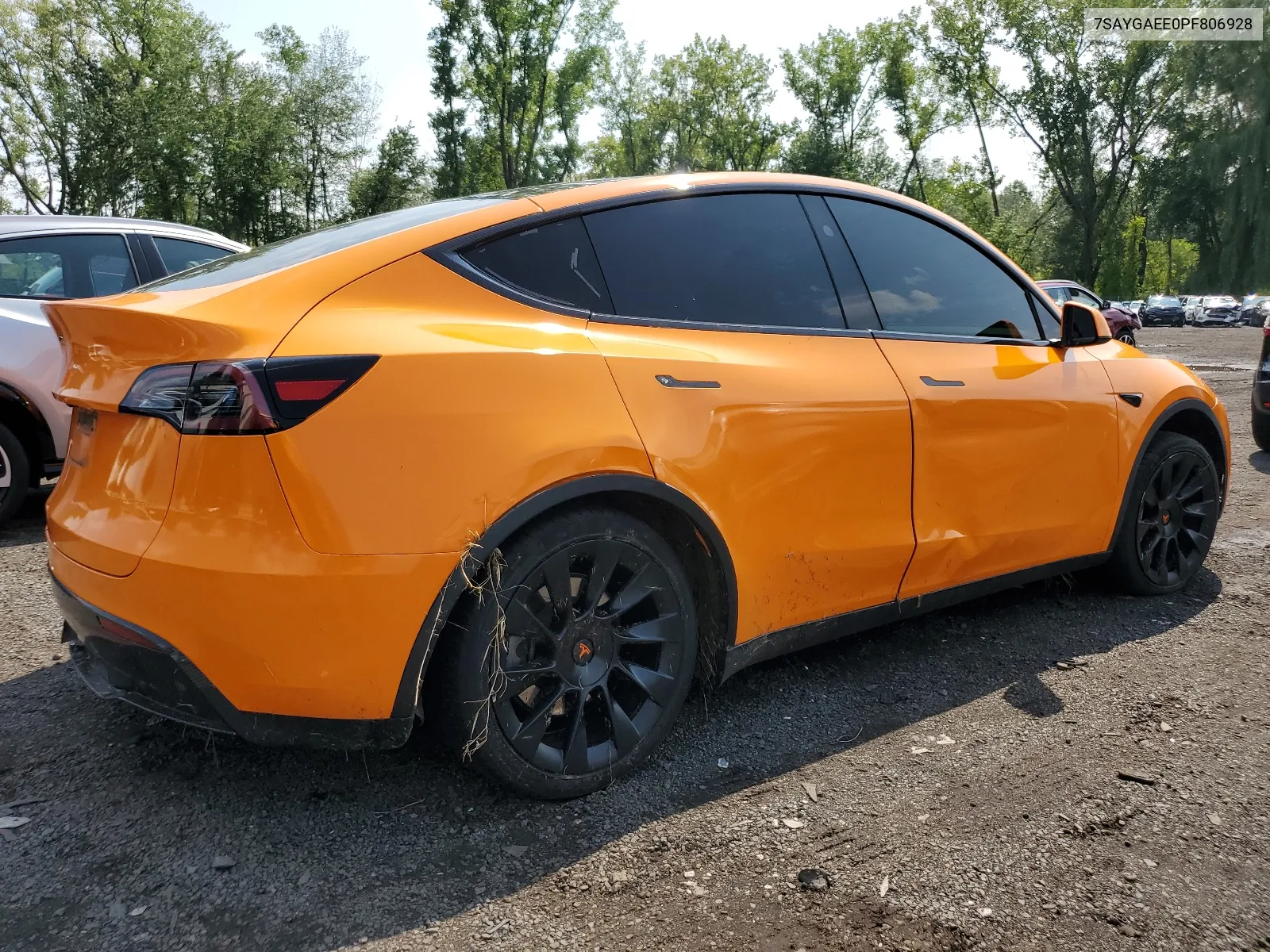 2023 Tesla Model Y VIN: 7SAYGAEE0PF806928 Lot: 64882664