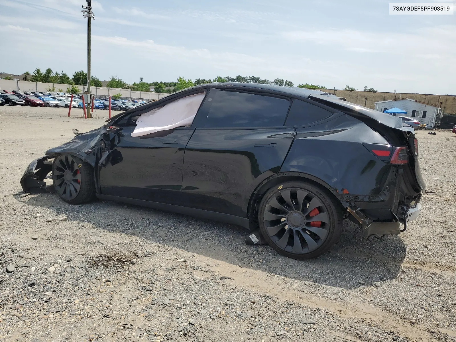 2023 Tesla Model Y VIN: 7SAYGDEF5PF903519 Lot: 64935004