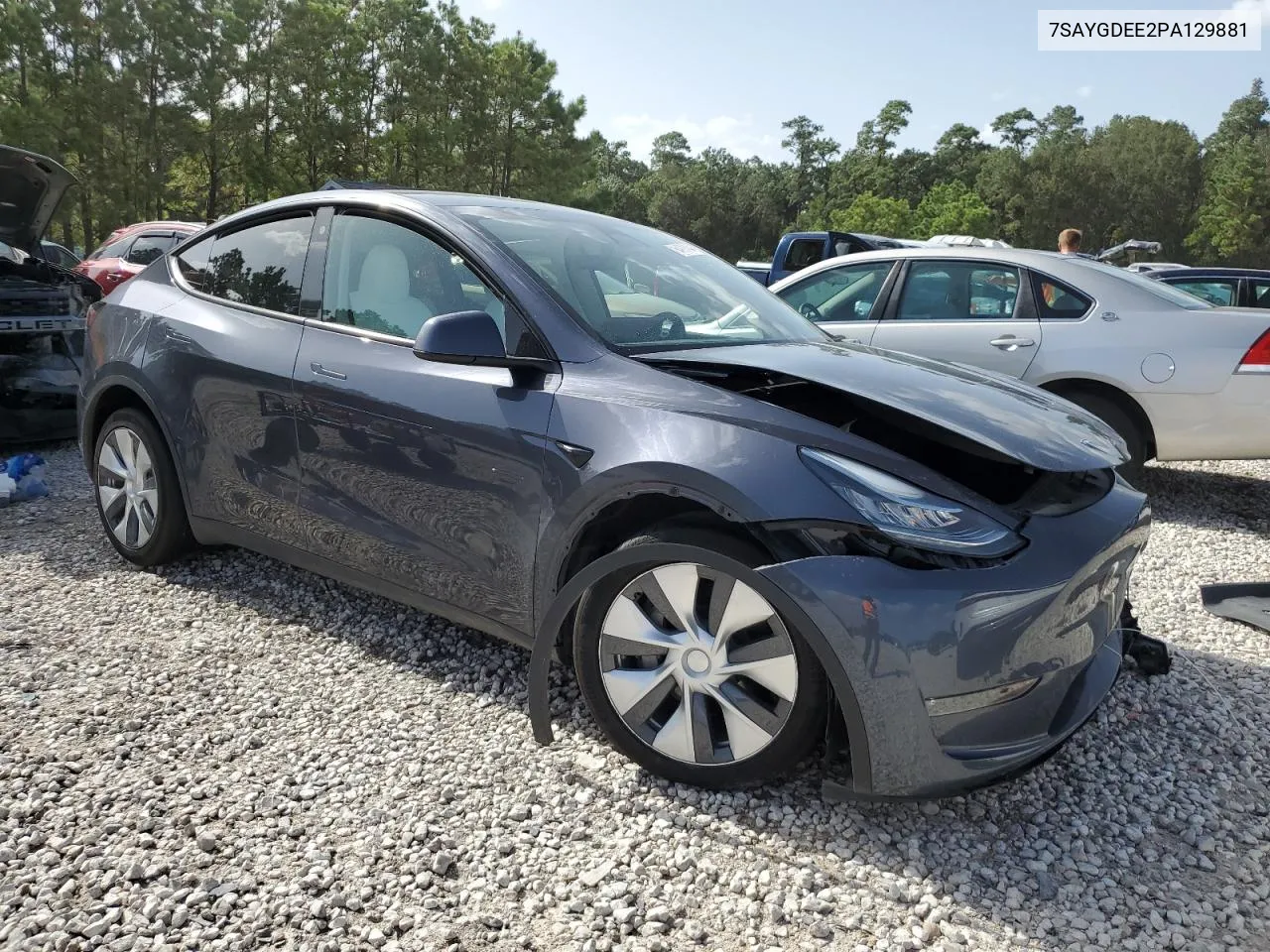 2023 Tesla Model Y VIN: 7SAYGDEE2PA129881 Lot: 64973794