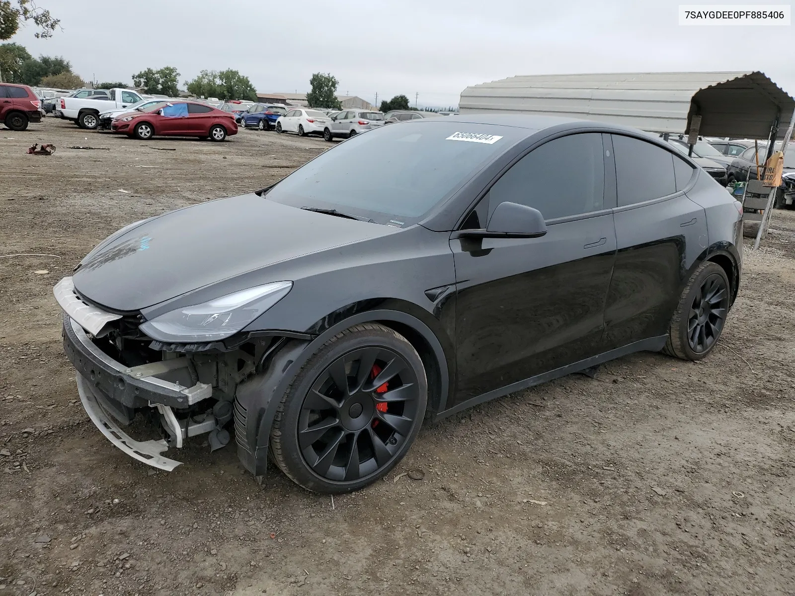 2023 Tesla Model Y VIN: 7SAYGDEE0PF885406 Lot: 65066404