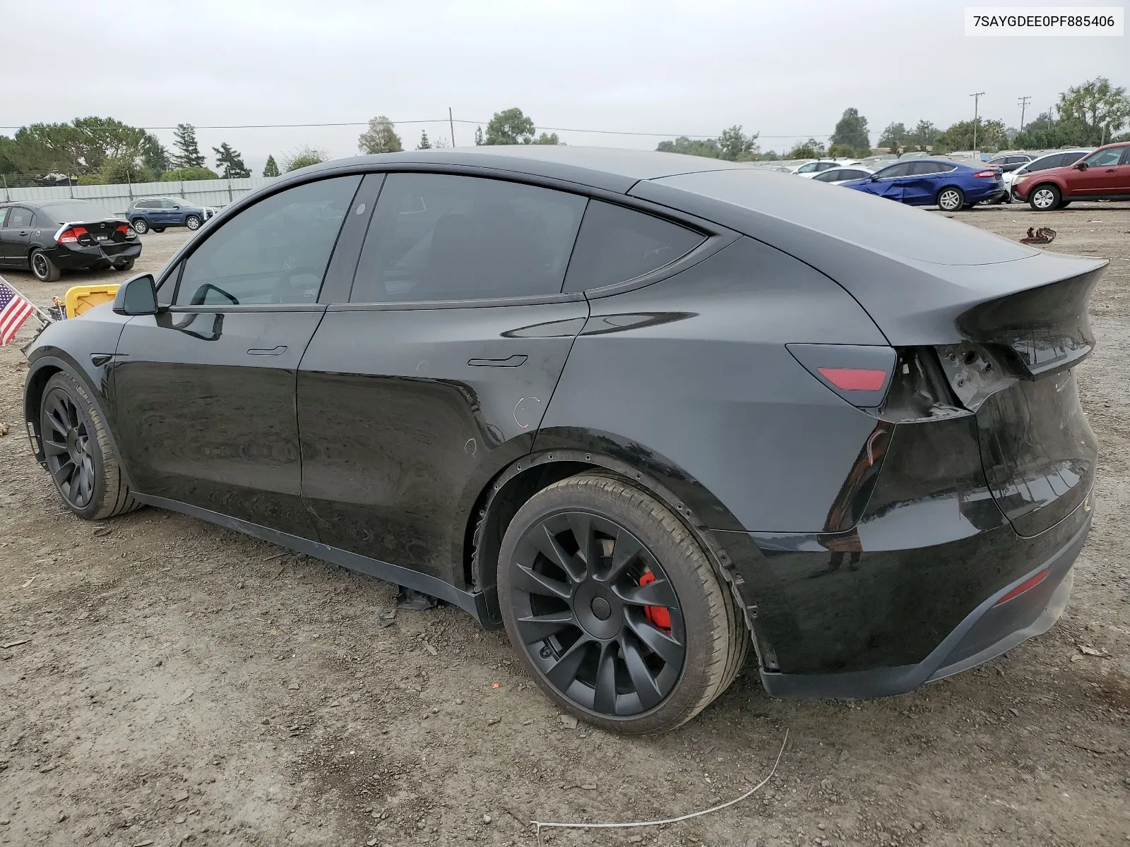 2023 Tesla Model Y VIN: 7SAYGDEE0PF885406 Lot: 65066404