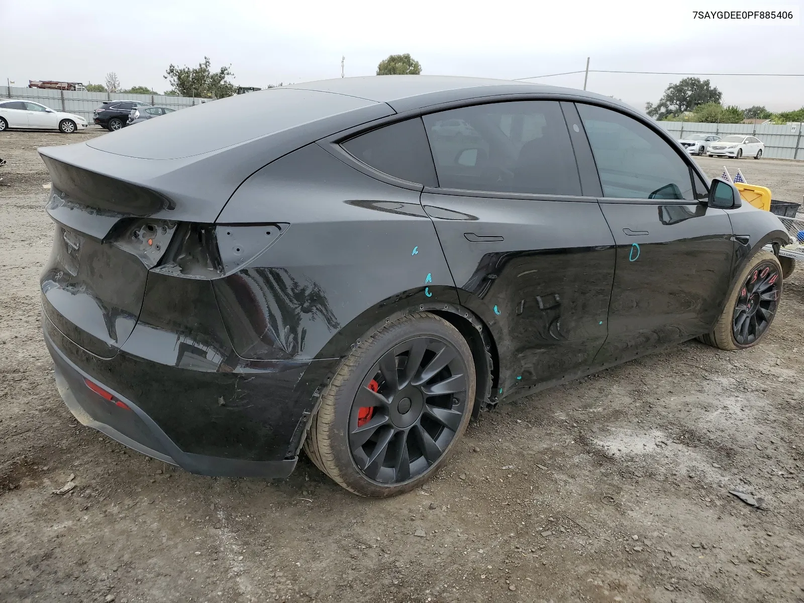 2023 Tesla Model Y VIN: 7SAYGDEE0PF885406 Lot: 65066404