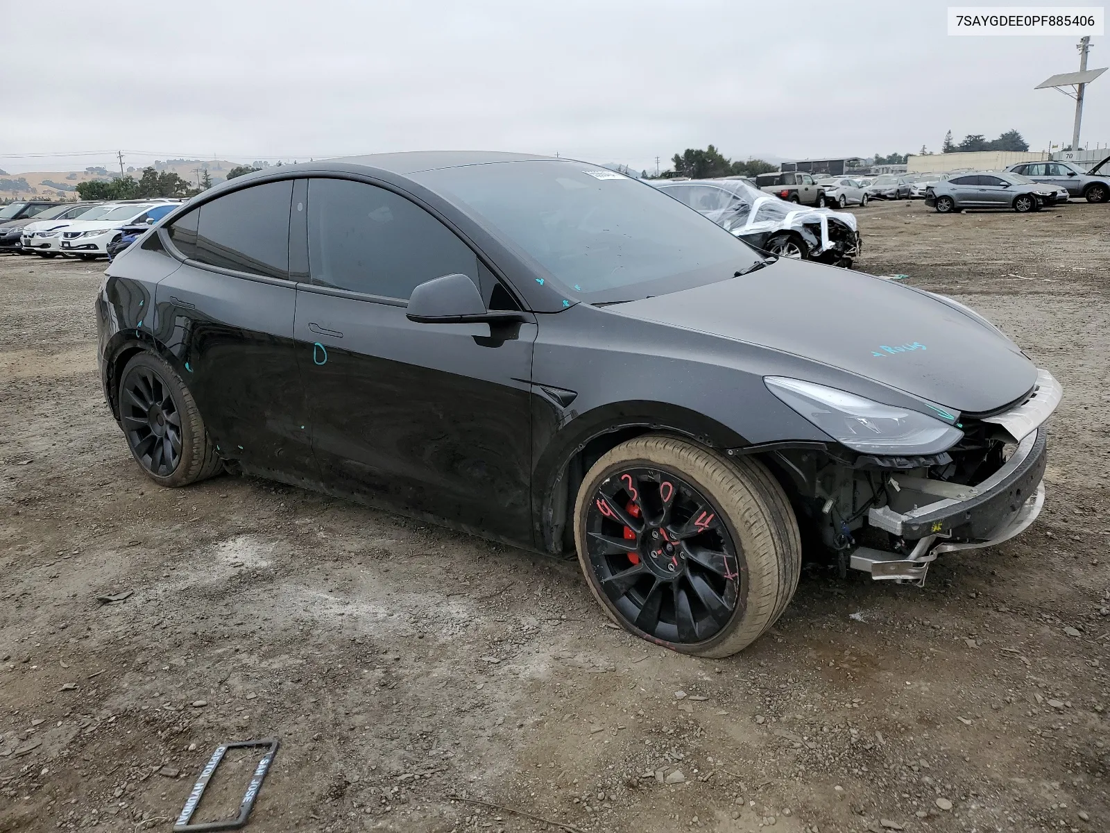 2023 Tesla Model Y VIN: 7SAYGDEE0PF885406 Lot: 65066404