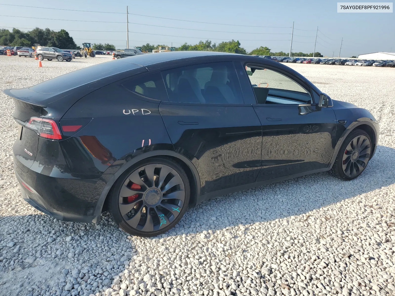 2023 Tesla Model Y VIN: 7SAYGDEF8PF921996 Lot: 65209144