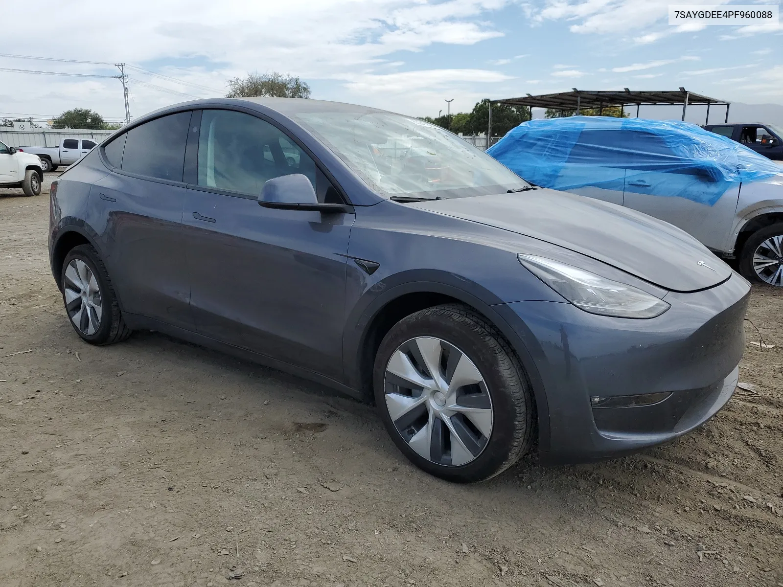 2023 Tesla Model Y VIN: 7SAYGDEE4PF960088 Lot: 65241824