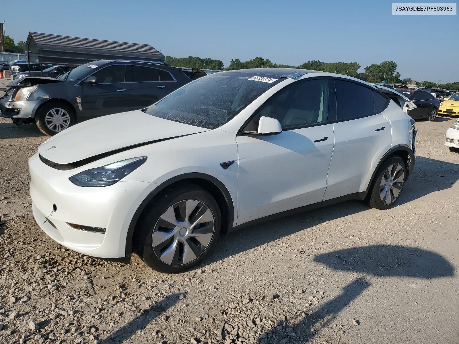 2023 Tesla Model Y VIN: 7SAYGDEE7PF803963 Lot: 65325174