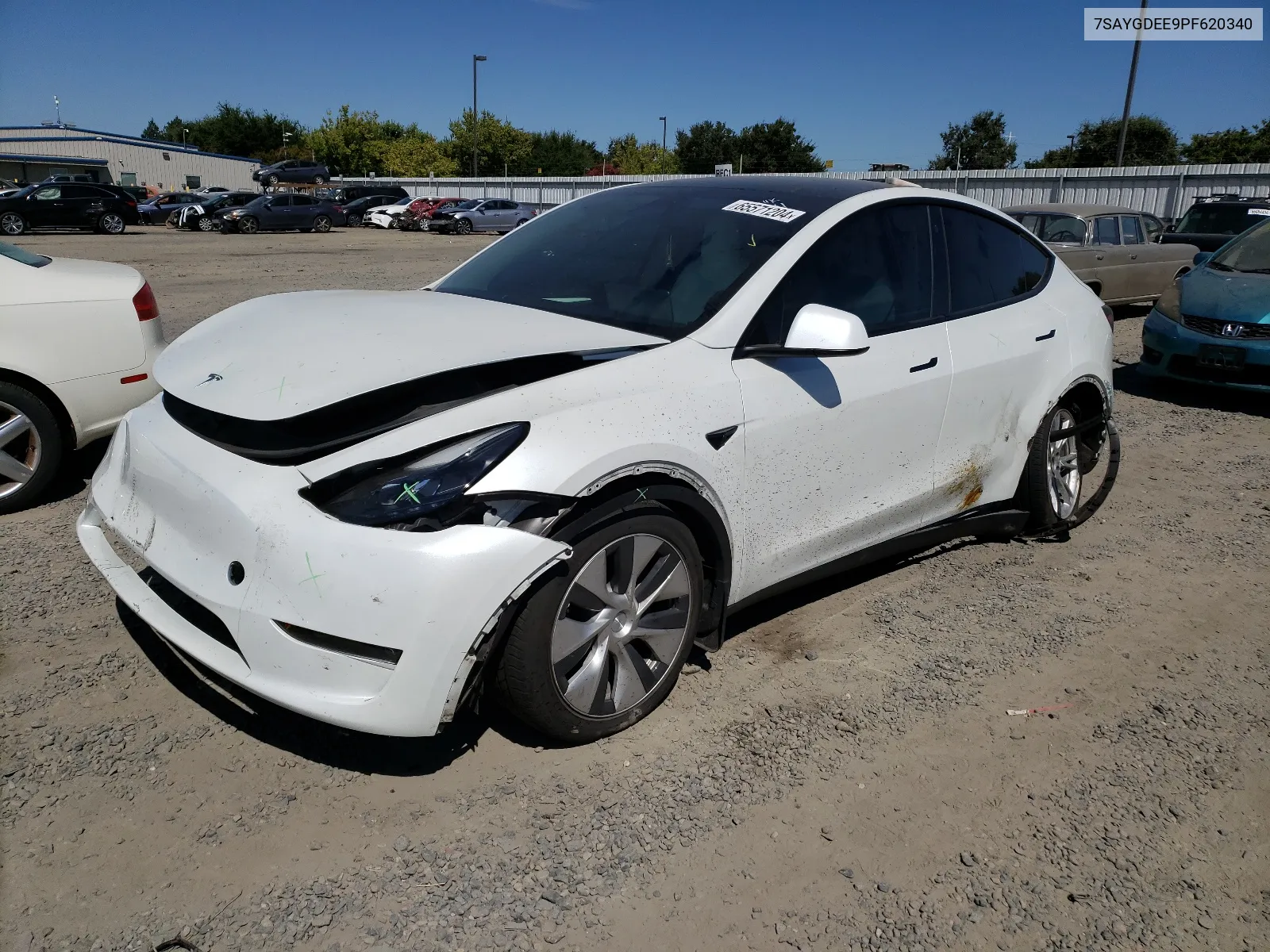 2023 Tesla Model Y VIN: 7SAYGDEE9PF620340 Lot: 65571204