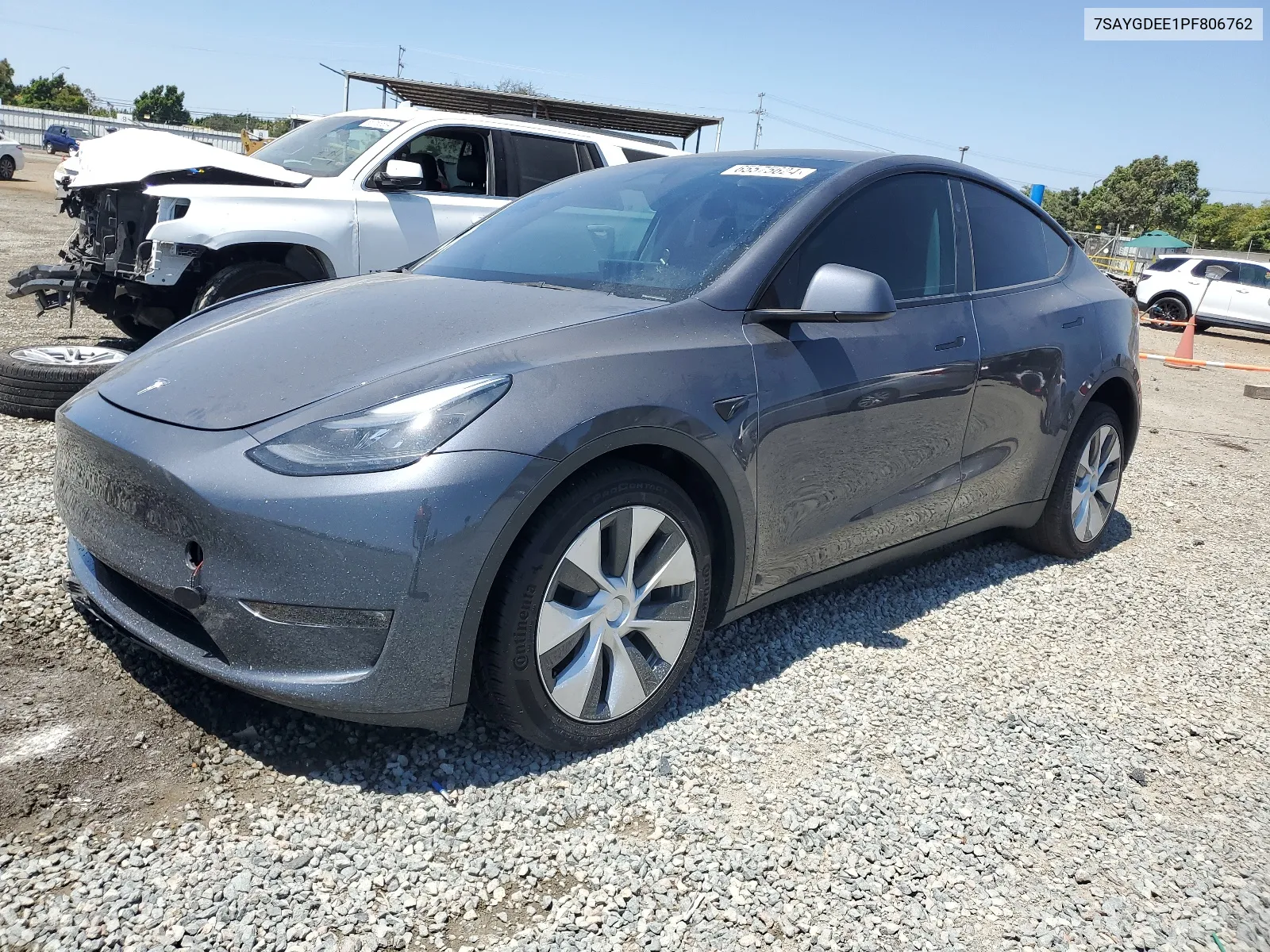 2023 Tesla Model Y VIN: 7SAYGDEE1PF806762 Lot: 65575624