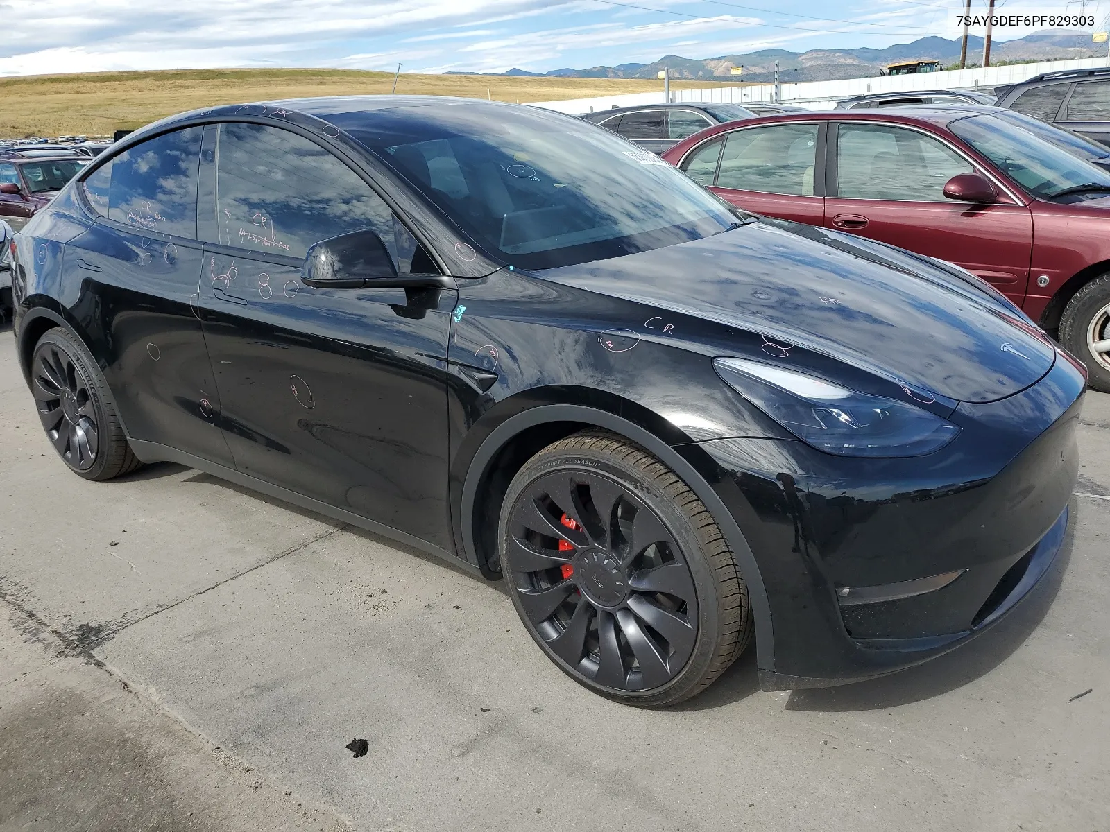 2023 Tesla Model Y VIN: 7SAYGDEF6PF829303 Lot: 65866024