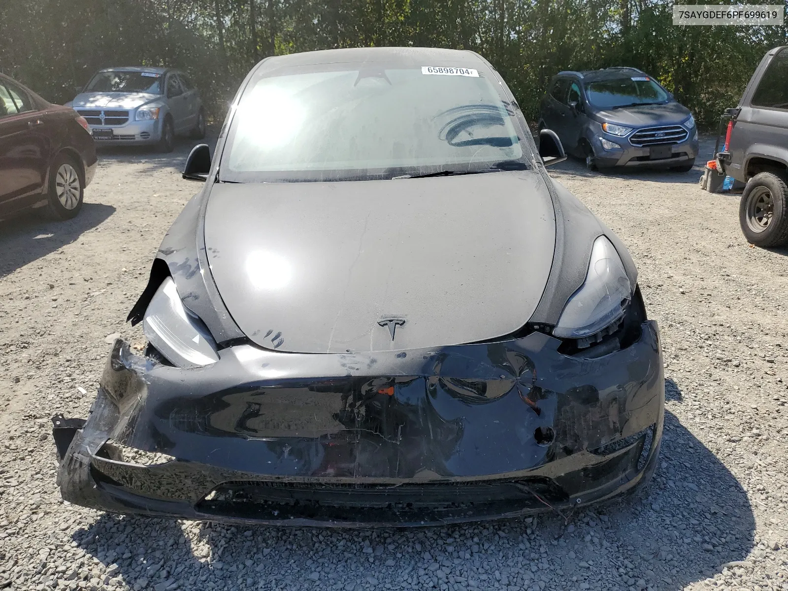 2023 Tesla Model Y VIN: 7SAYGDEF6PF699619 Lot: 65898704