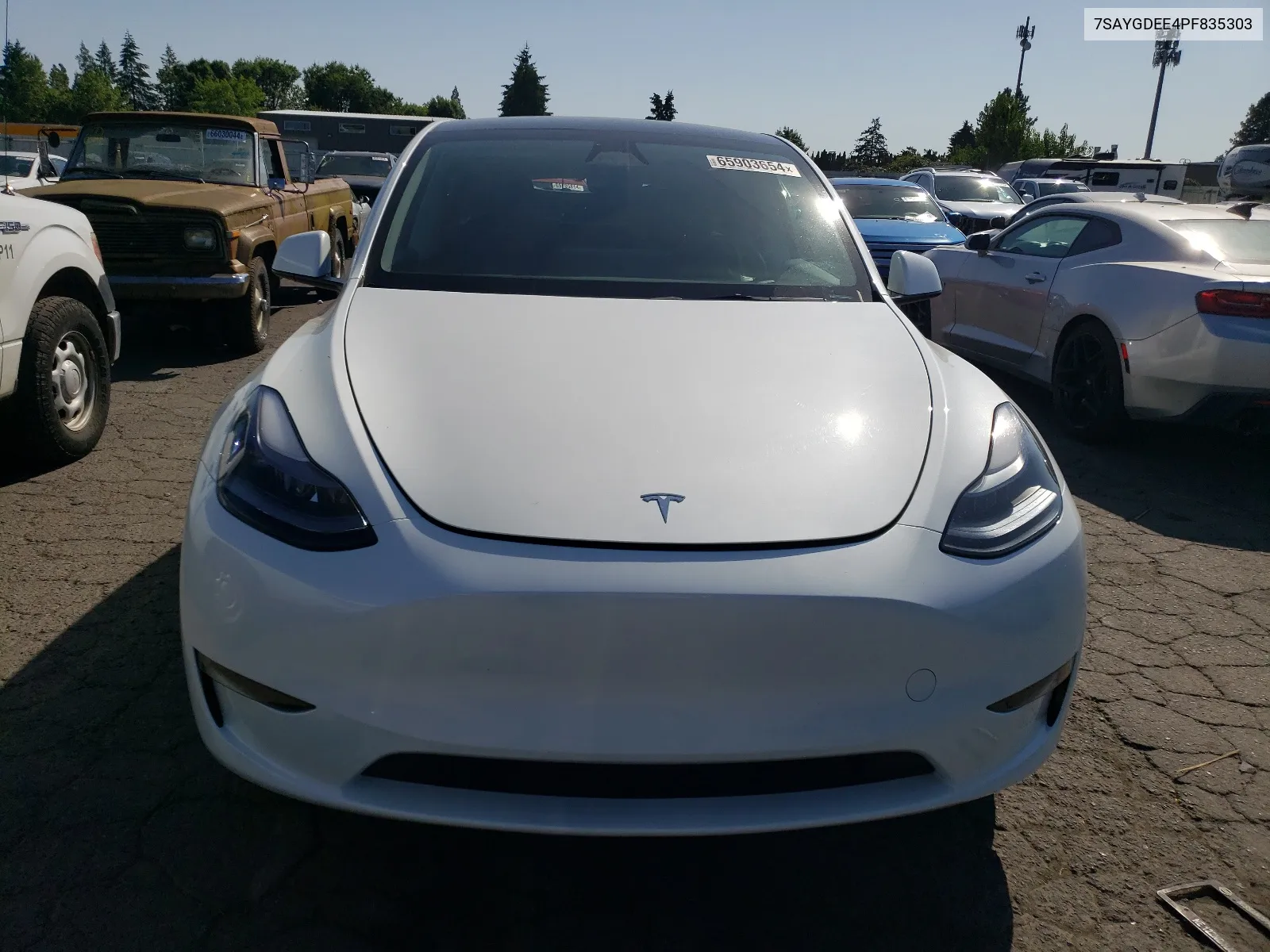 2023 Tesla Model Y VIN: 7SAYGDEE4PF835303 Lot: 65903654