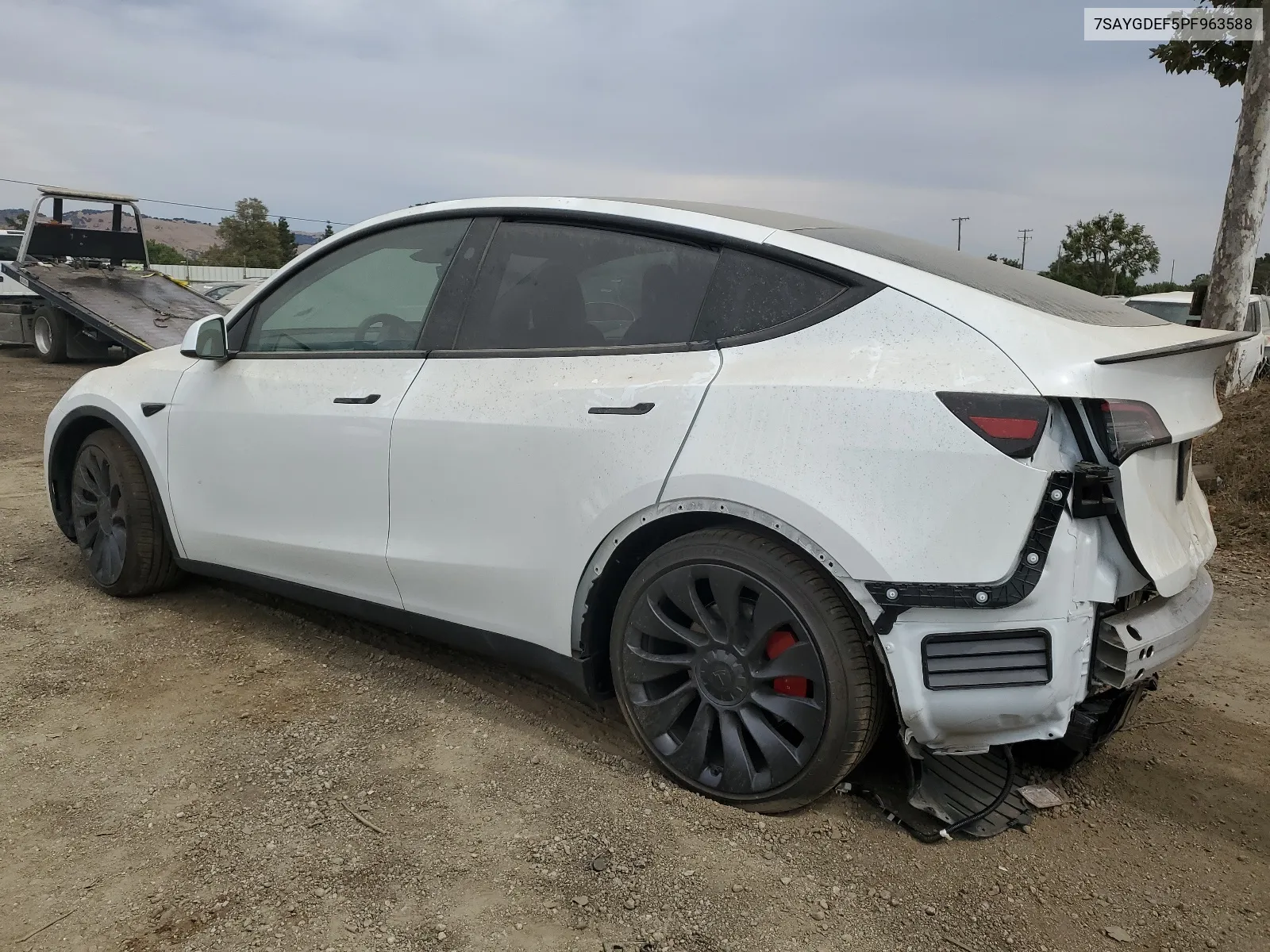 2023 Tesla Model Y VIN: 7SAYGDEF5PF963588 Lot: 66122544