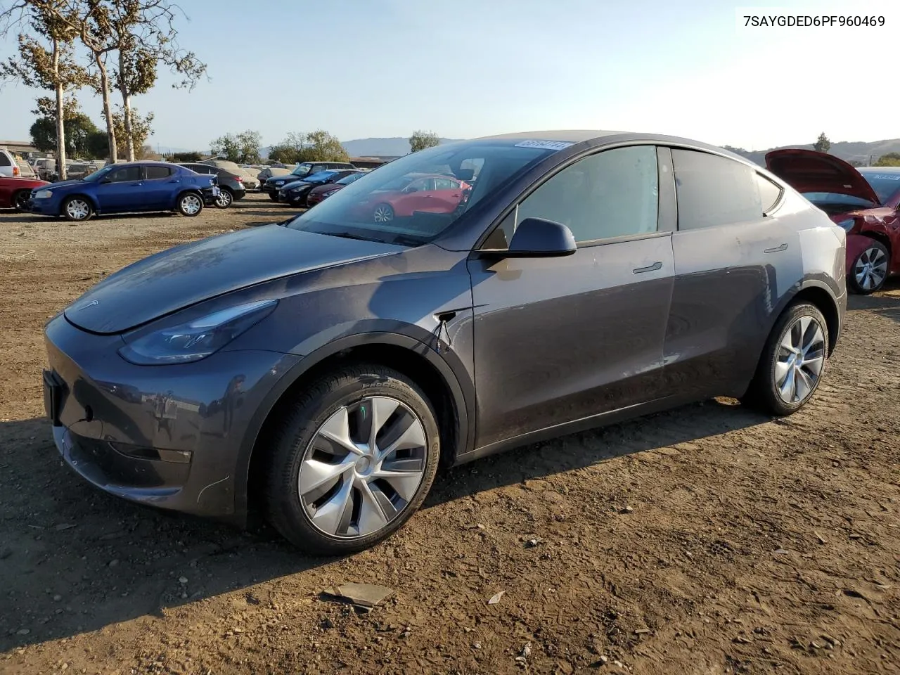 2023 Tesla Model Y VIN: 7SAYGDED6PF960469 Lot: 66164744