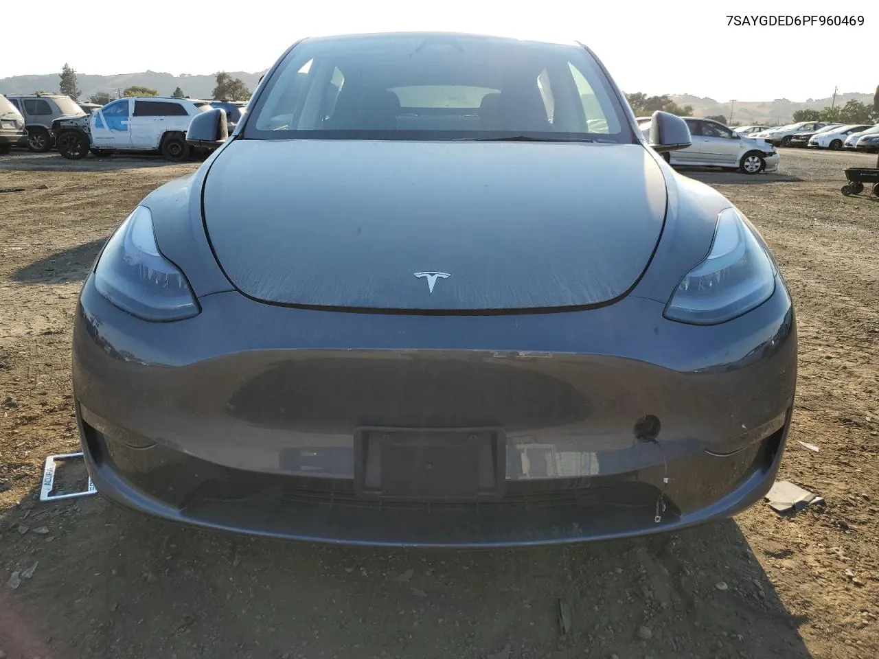 2023 Tesla Model Y VIN: 7SAYGDED6PF960469 Lot: 66164744